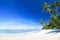 Beautiful scenic beach with Palm Tree