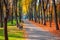 Beautiful scenic early autumn alley with benches between trees and golden colored foliage lush at city park. Walking path in