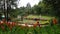 Beautiful scenic garden of Kodaikanal Bryant Park