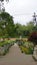 Beautiful scenic garden of Kodaikanal Bryant Park