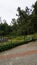 Beautiful scenic garden of Kodaikanal Bryant Park