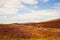 Beautiful scenic mountain landscape. Wicklow Mountains National Park, County Wicklow, Ireland