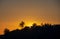 Beautiful Scenic Northern California Sunrise