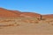 Beautiful scenic panorama view of big daddy also known as Dune 45 in Namib Naukluft Nationalpark, Sossusvlei, Namibia