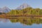 Beautiful Scenic Reflection Landscape in the Tetons in Fall