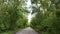 A beautiful scenic road among bright green trees on the track on a clear day. The concept of auto travel and tourism.