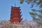 Beautiful Scenic of Senjokaku and the five-storied pagoda