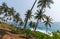beautiful scenic view of coastline with palm trees, sri lanka, mirissa