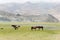 Beautiful scenic view from Hanle Village in Ladakh, Jammu and Kashmir, India