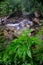 The beautiful scenic waterfall in front of famous double decker root bridge in meghalaya