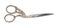 Beautiful scissors with bird shaped handles on white background, top view