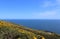 Beautiful Sea, Howth, Dublin Bay, Ireland, Rocks, Cliff and Stones