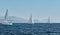 Beautiful sea landscape with sailboats, the race of sailboats on the horizon, a regatta, a Intense competition, bright