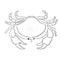 Beautiful Sea Print Crab animal art line vector illustration