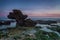 Beautiful sea sunset on a background elegant stone.