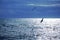 Beautiful sea at sunset with soaring gulls over the water