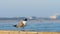 Beautiful seagull on a wooden railing looks around and spreads wings to begin dive down to water, with background of sea waves and