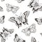 Beautiful seamless background of butterflies black and white colors. Vector illustration.