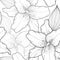 Beautiful seamless black-and-white background with lilies, hand-drawn.