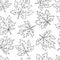 Beautiful seamless doodle pattern with black and white maple leaves sketch. design background greeting cards and invitations to th