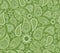 Beautiful seamless floral paisley folk green nature background.Intricate vector illustration design nature pattern backdrop