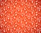 Beautiful seamless floral pattern