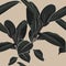 Beautiful seamless floral pattern background with dark tropical ficus elastica.