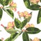 Beautiful seamless floral pattern background with exotic bright ficus elastica and yellow hibiscus flowers.