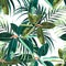 Beautiful seamless floral pattern background with tropical dark and bright ficus elastica and palm leaves.