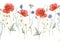 Beautiful seamless floral pattern with hand drawn watercolor gentle wild field flowers cornflower poppy. Stock