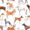 Beautiful seamless pattern with cute watercolor hand drawn dog breeds Cocker spaniel Greyhound Hound Basenji and Russian