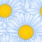 Beautiful seamless pattern with flowers daisy. design for greeting cards and invitations