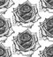 Beautiful seamless pattern with hand drawn ornate rose flowers i