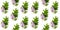 Beautiful seamless pattern of lilac and green leaves inflorescences on a white background, flat lay, top view