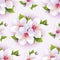 Beautiful seamless pattern with white sakura