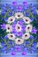 Beautiful seamless pattern with wreaths of daisy and bellflowers on the background of blue lobelia flowers