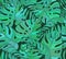 Beautiful seamless tropical jungle floral pattern background