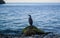 Beautiful seascape with cormorant sitting on the stone