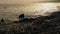 A beautiful seascape in the evening sunlight. Small waves roll in on the pebbly seashore. In the background are