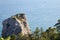 Beautiful seascape. Nature composition. Pine tree on rock