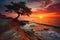 Beautiful seascape with pine tree at sunset. Nature composition