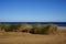 Beautiful seascape of the Red Sea in the Gulf of Aqaba. Dahab, South Sinai Governorate, Egypt