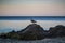 Beautiful seascape with rocks and seagull, sunset on the beach