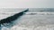 Beautiful Seascape: Shag Bird on Breakwater Bathing in Sea Waves near Coastline