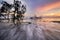 Beautiful seascape,silhouette mangrove tree over stunning sunset