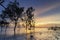 Beautiful seascape, silhouette mangrove tree over stunning sunset background ideal for holiday and tranquil concept