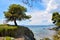 Beautiful seascape with tree, rocks and clear transparent water