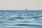 Beautiful seascape - view of morning sea with a sailboat on horizon in the bay next to of ancient Phaselis, coast of the Mediterra