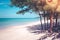 Beautiful seascape view of pine trees on white sand beach at seashore with blue sea and sky in background.