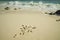 Beautiful seascape view. Shells and fancy pebbles on white sand and turquoise rolling waves on background.